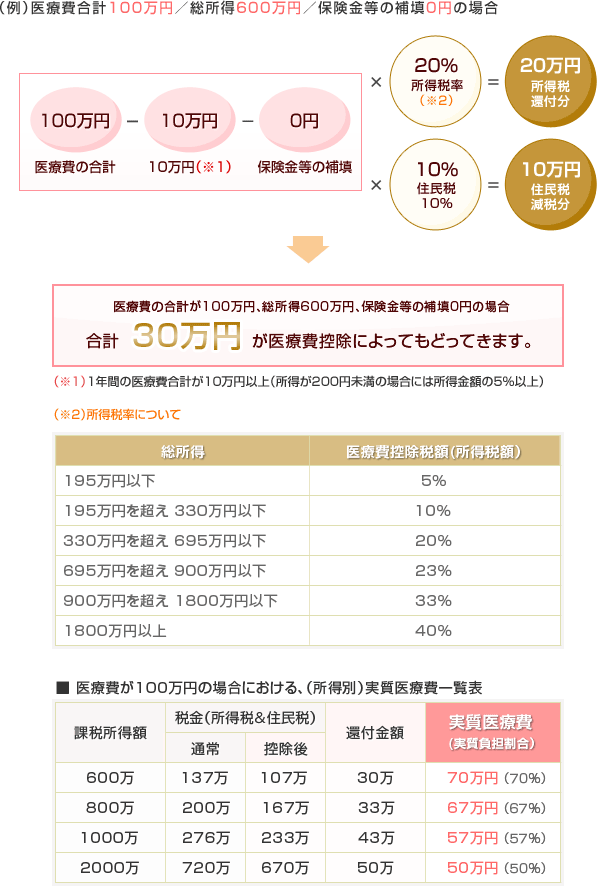 医療費控除額の計算の図